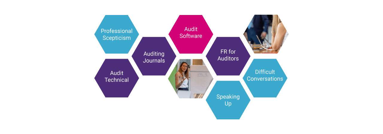 Immersive case study for all qualified staff in Audit Practice